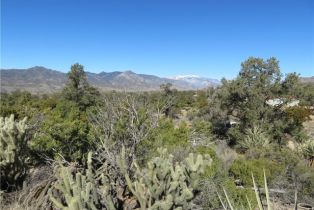 , 155 Lot #155 Buckthorn, Mountain Center, CA 92561 - 3