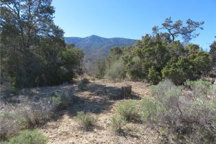 , 155 Lot #155 Buckthorn, Mountain Center, CA 92561 - 4