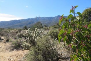 , 155 Lot #155 Buckthorn, Mountain Center, CA 92561 - 5