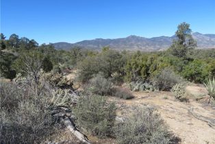 , 155 Lot #155 Buckthorn, Mountain Center, CA 92561 - 8