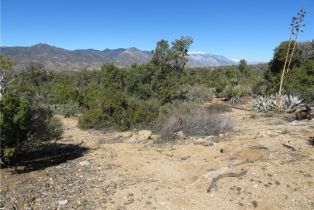 , 155 Lot #155 Buckthorn, Mountain Center, CA 92561 - 9