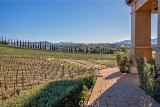 Single Family Residence, 41100 Avenida Biona, Temecula, CA 92591 - 32