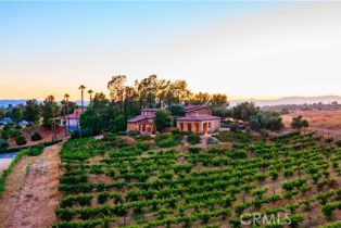 Single Family Residence, 41100 Avenida Biona, Temecula, CA 92591 - 39