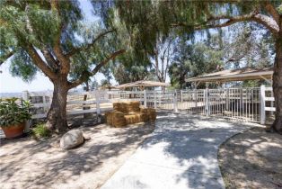 Single Family Residence, 31755 Rancho Vista rd, Temecula, CA 92592 - 47