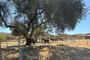 , 35125 Stirrup rd, Temecula, CA 92592 - 42