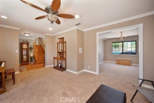 Single Family Residence, 29620 Valle Olvera, Temecula, CA 92591 - 10