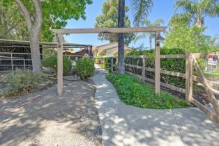 Single Family Residence, 29620 Valle Olvera, Temecula, CA 92591 - 48