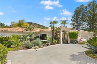 Single Family Residence, 22420 Montes ct, Murrieta, CA 92562 - 2