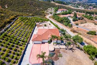 Single Family Residence, 20245 Paseo Montana, Murrieta, CA 92562 - 4