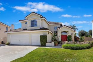 Single Family Residence, 32227 Corte Carmela, CA  , CA 92592