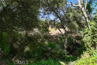 Single Family Residence, 879 Stewart Canyon rd, Fallbrook, CA 92028 - 61