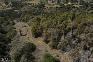 Single Family Residence, 2501 Via Rancheros way, Fallbrook, CA 92028 - 46