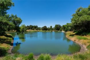 Single Family Residence, 42205 Calle Bandido, Murrieta, CA 92562 - 43