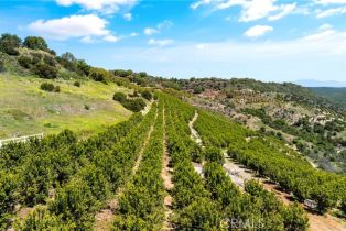 , 27 Via Escalon, Temecula, CA 92590 - 12