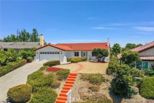 Single Family Residence, 22960 Cove View st, Canyon Lake, CA 92587 - 3