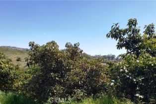 , 49375 Via Vaquero, Temecula, CA 92590 - 16