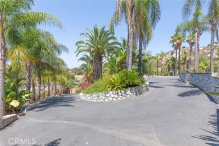 Single Family Residence, 1485 Via Ladera, Fallbrook, CA 92028 - 32