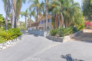 Single Family Residence, 1485 Via Ladera, Fallbrook, CA 92028 - 5