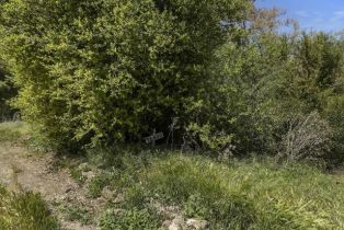 , 0 Avenida Del Oro, Temecula, CA 92590 - 18