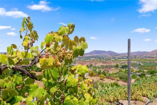 Single Family Residence, 41705 Chaparral drive, Temecula, CA 92592 - 53