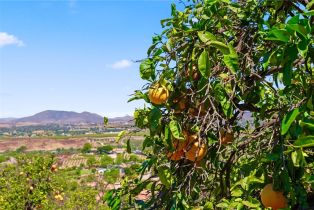 Single Family Residence, 41705 Chaparral drive, Temecula, CA 92592 - 54