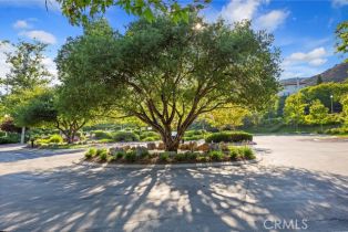 Single Family Residence, 27229 White Alder ct, Murrieta, CA 92562 - 61