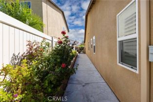 Single Family Residence, 35063 Indian Grass dr, Murrieta, CA 92563 - 24