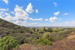 , 33859 Swarthout ln, Temecula, CA 92592 - 39