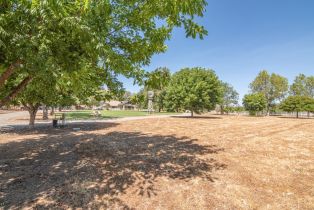 Single Family Residence, 20450 Avenida Castilla, Murrieta, CA 92562 - 54