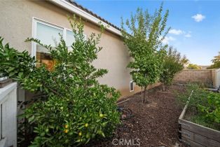 Single Family Residence, 30515 Prairie Sun way, Murrieta, CA 92563 - 39