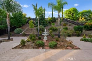 Single Family Residence, 39658 Calle Azucar, Murrieta, CA 92562 - 43