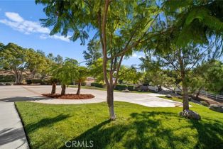 Single Family Residence, 38901 Avenida Arriba, Temecula, CA 92592 - 10