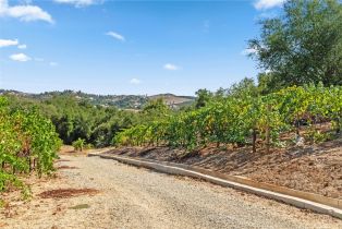 Single Family Residence, 22775 Carancho Road, Temecula, CA 92590 - 53