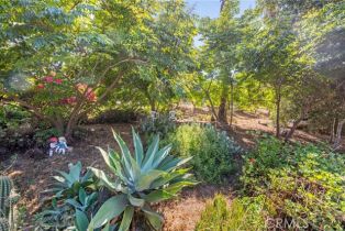 Single Family Residence, 3550 Canonita dr, Fallbrook, CA 92028 - 2