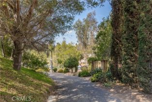 Single Family Residence, 1581 Sycamore dr, Fallbrook, CA 92028 - 4