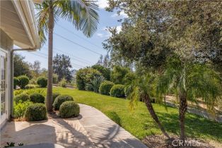 Single Family Residence, 1581 Sycamore dr, Fallbrook, CA 92028 - 41