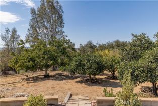 Single Family Residence, 1581 Sycamore dr, Fallbrook, CA 92028 - 43