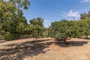 Single Family Residence, 1581 Sycamore dr, Fallbrook, CA 92028 - 45