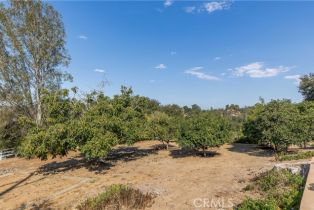 Single Family Residence, 1581 Sycamore dr, Fallbrook, CA 92028 - 52