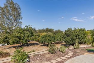 Single Family Residence, 1581 Sycamore dr, Fallbrook, CA 92028 - 53