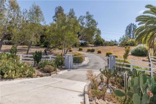 Single Family Residence, 1581 Sycamore DR, Fallbrook, CA  Fallbrook, CA 92028