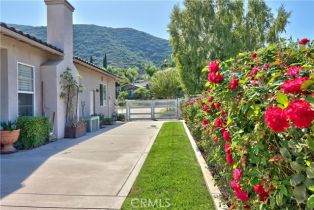 Single Family Residence, 24990 Tyler Place, Murrieta, CA 92562 - 47