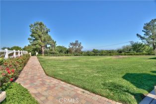 Single Family Residence, 24990 Tyler Place, Murrieta, CA 92562 - 48