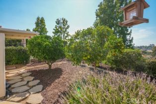 Single Family Residence, 1073 Ridge Heights dr, Fallbrook, CA 92028 - 44