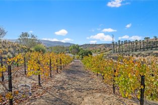 Single Family Residence, 36990 Los Alamitos dr, Temecula, CA 92592 - 23