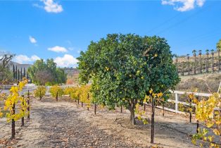 Single Family Residence, 36990 Los Alamitos dr, Temecula, CA 92592 - 24