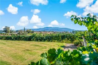 Single Family Residence, 33721 Madera De Playa, Temecula, CA 92592 - 44