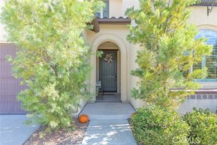 Single Family Residence, 39158 Steeplechase ln, Temecula, CA 92591 - 3