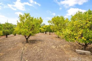 Single Family Residence, 41822 Calle Bandido, Murrieta, CA 92562 - 66