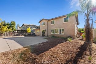 Single Family Residence, 27404 Desert Willow st, Murrieta, CA 92562 - 59